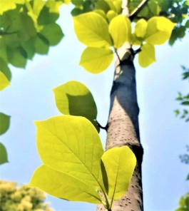 把时间留住