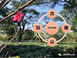 周末假期去哪里旅游好？上茗轩红茶博物馆“四季茶旅”欢迎你