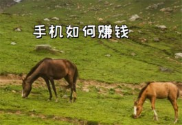 2024年手机上如何赚钱？分享5款手机上做任务赚钱软件