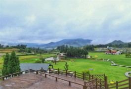 田园寻韵