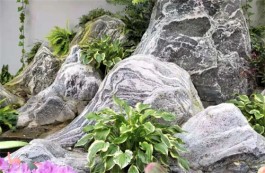 风声雨声话秋凉