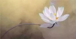 长春之缘，妙不可言