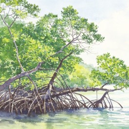 海边植物生