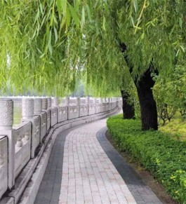 漫无目的的生活