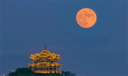 一轮明月照中秋