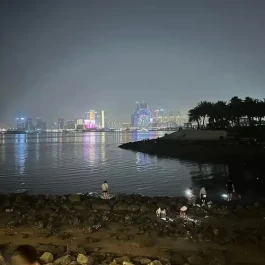 港湾畅游