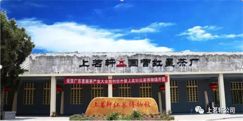 上茗轩红茶博物馆·茶研学