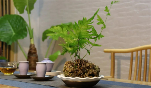 在合适的时间喝合适的茶，是健康茶生活的开始