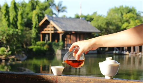人生不过是喝一杯茶