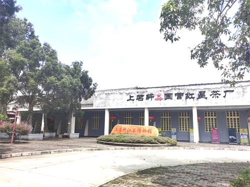老字号茶企英德市上茗轩茶叶有限责任公司：传承英德红茶文化70载
