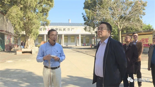英德市长翟永鸣“四下基层”调研 推动茶产业从传统种茶制茶向全产业链模式快速发展