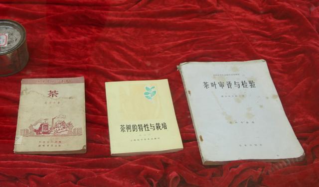 深藏广东英德的这个红茶茶博馆里面藏着什么宝？