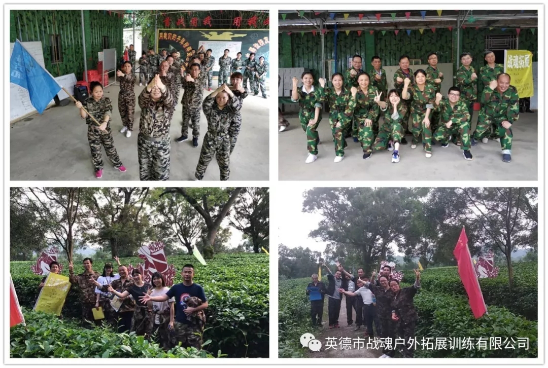 广东英德市上茗轩茶文化旅行 拓展+深度茶研学