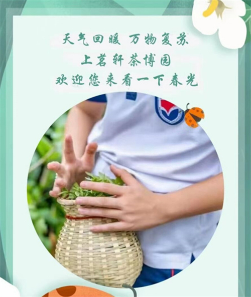 广东省英德市上茗轩茶研学小课堂开课啦！