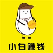小白赚钱 小白赚钱
