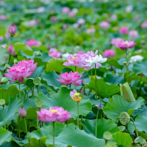 玩游戏赚钱的软件有哪些？分享两款可以玩游戏挣钱的软件