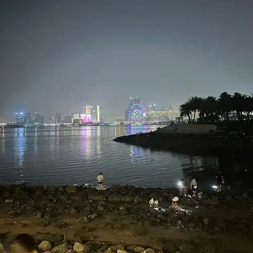 港湾畅游