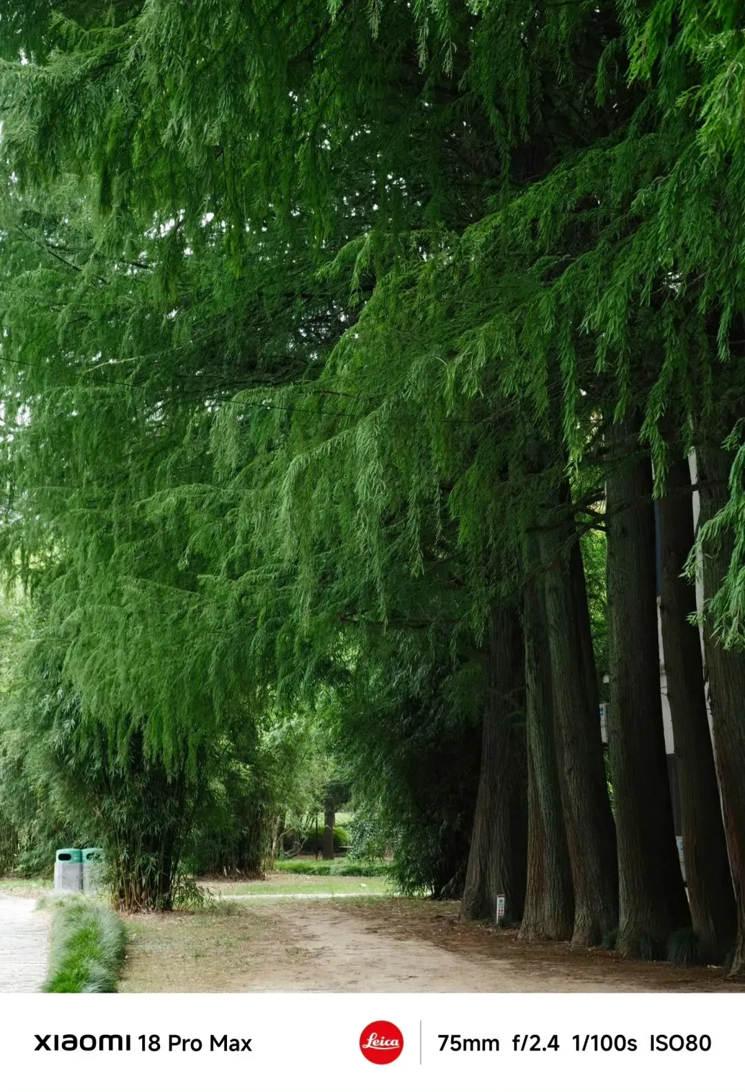 2.webp